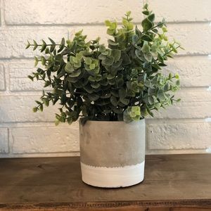 Faux Eucalyptus Plant